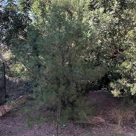 Διαμέρισμα Casa Con Piscina