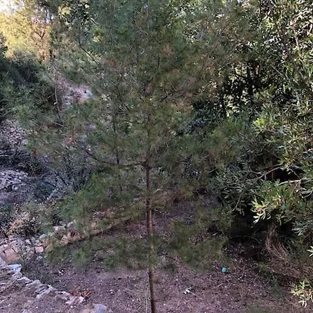 Appartamento Casa Con Piscina *