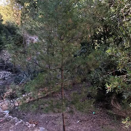 Casa Con Piscina Apartment *