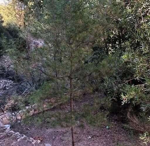 Casa Con Piscina 公寓 *