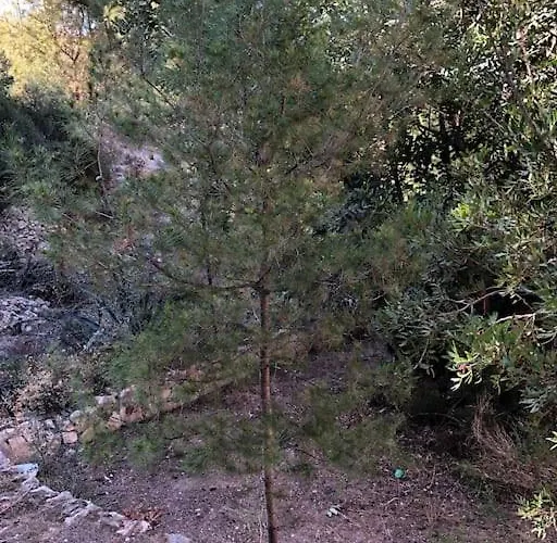 Appartamento Casa Con Piscina *