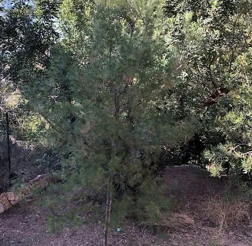 Appartamento Casa Con Piscina